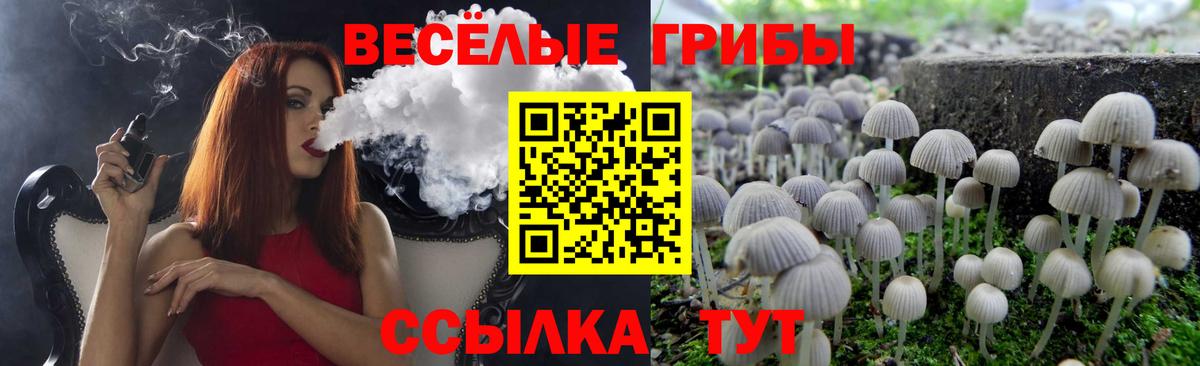 Псилоцибиновые грибы мицелий Котельники